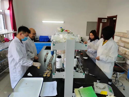 包頭市農(nóng)業(yè)技術(shù)推廣中心全力推進(jìn)化肥減量增效項目土樣檢測工作